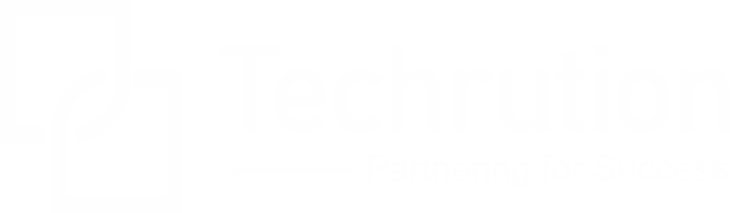 Footer Logo